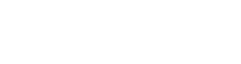 LM Services